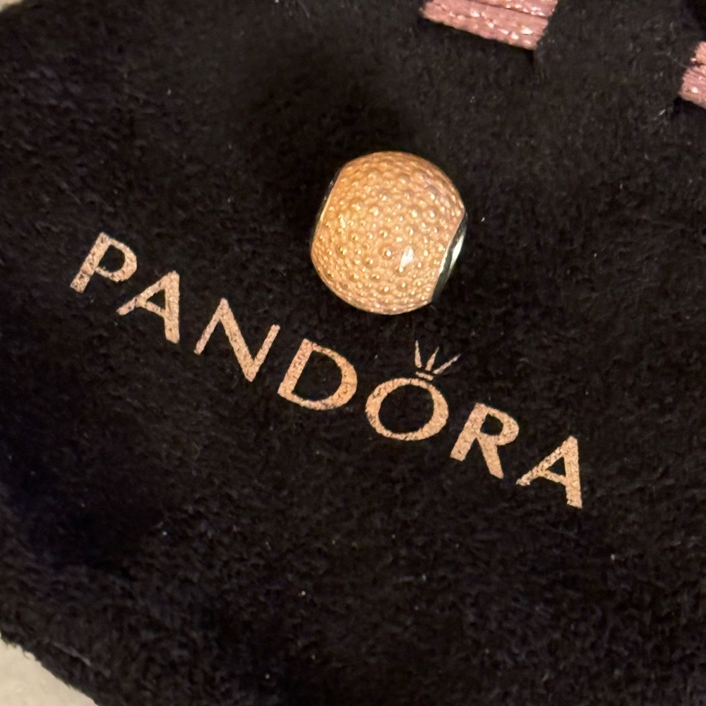 Preowned Authentic Pandora Enchantment Charm